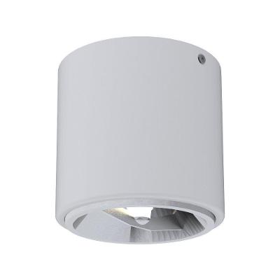 Spot De Sobrepor Cannon Ar111 Redondo Taschibra Branco