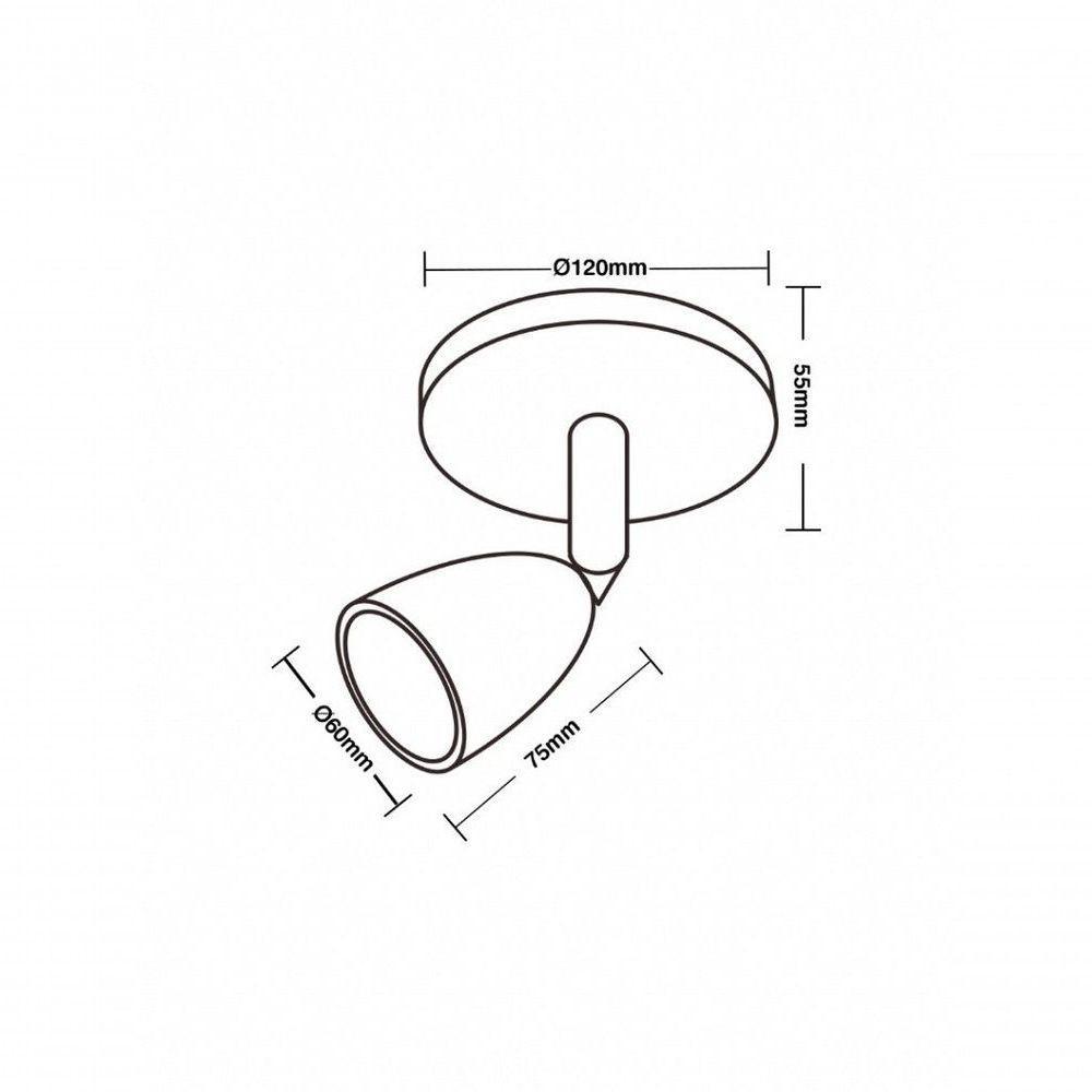 Spot De Led Direct Mr16 Circular 4w Preto Taschibra 6500k Luz Fria - 2