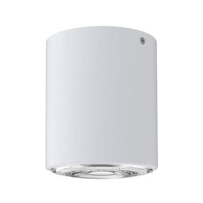 Spot De Sobrepor Cannon Par30 Redondo Taschibra Branco