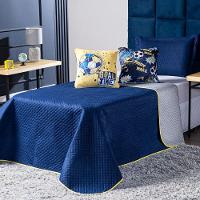 Kit Cobre Leito Futebol Goal Azul Marinho/cinza Dupla Face C/ Almofadas Solteiro 04 Peças - 1