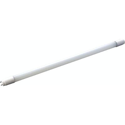 Lâmpada Led Tramontina Tubo T8 Base G13 900 Lm 10 W Bivolt 6500 K Luz Branca Tramontina