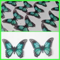 Borboleta Verde com Preto Mod 1