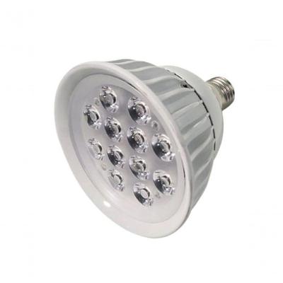 Lâmpada Led Par38 12w - Branco Quente