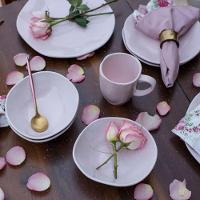 Jogo De Jantar Em Porcelana Ryo Com 20 Peças Oxford Pink Sand