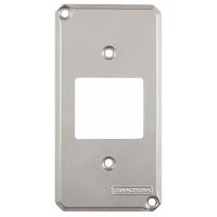 Tampa Para Condulete 1´´ Com 2 Postos - 2