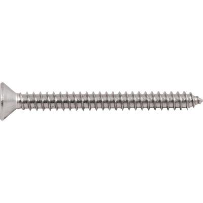 Parafuso Autoatarraxante Inox 4,8x50,0mm Phillips Vonder