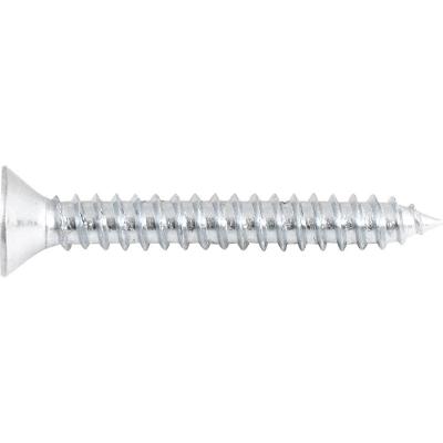 Parafuso Autoatarraxante 4,2x32,0mm Phillips 10 Peças Vonder