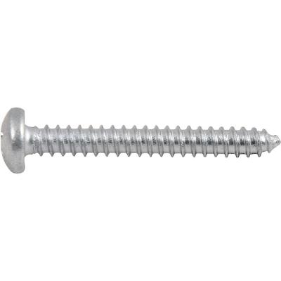 Parafuso Autoatarraxante 4,8x38,0mm Phillips 10 Peças Vonder