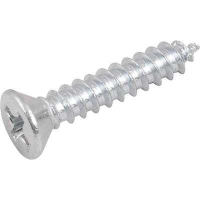 Parafuso Autoatarraxante 3,5x19 Phillips C/ 20 Peças Vonder