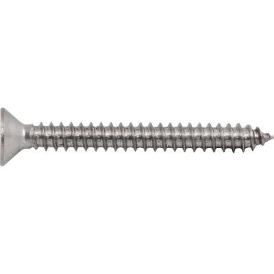 Parafuso Autoatarraxante Inox 5,5x50,0mm Phillips Vonder