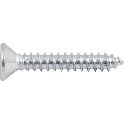 Parafuso Autoatarraxante 3,9x25 Phillips C/ 20 Peças Vonder