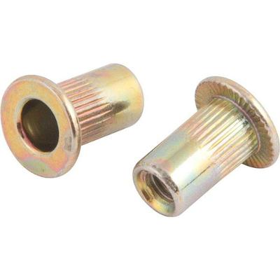 Rebite Aço Carbono M3 Rebite Manual Rosca Pacote Com 10 Peça