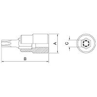 Soquete Em Aço Cromo Vanádio Ponta Trafix T60 - Encaixe 1/2" Tramontina Pro Tramontina - 2