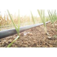 Mangueira Para Irrigação 3/4" Tramontina Preta Em Pebd 1 Camada 100 M - 2,0 Mm Tramontina - 5