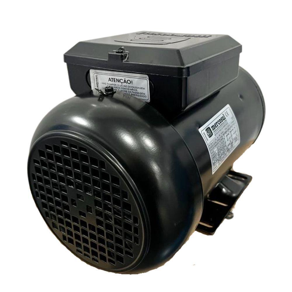 Motor Elétrico Monofásico 3cv 2 Pólos Ip44 110/220 V 60hz - 3