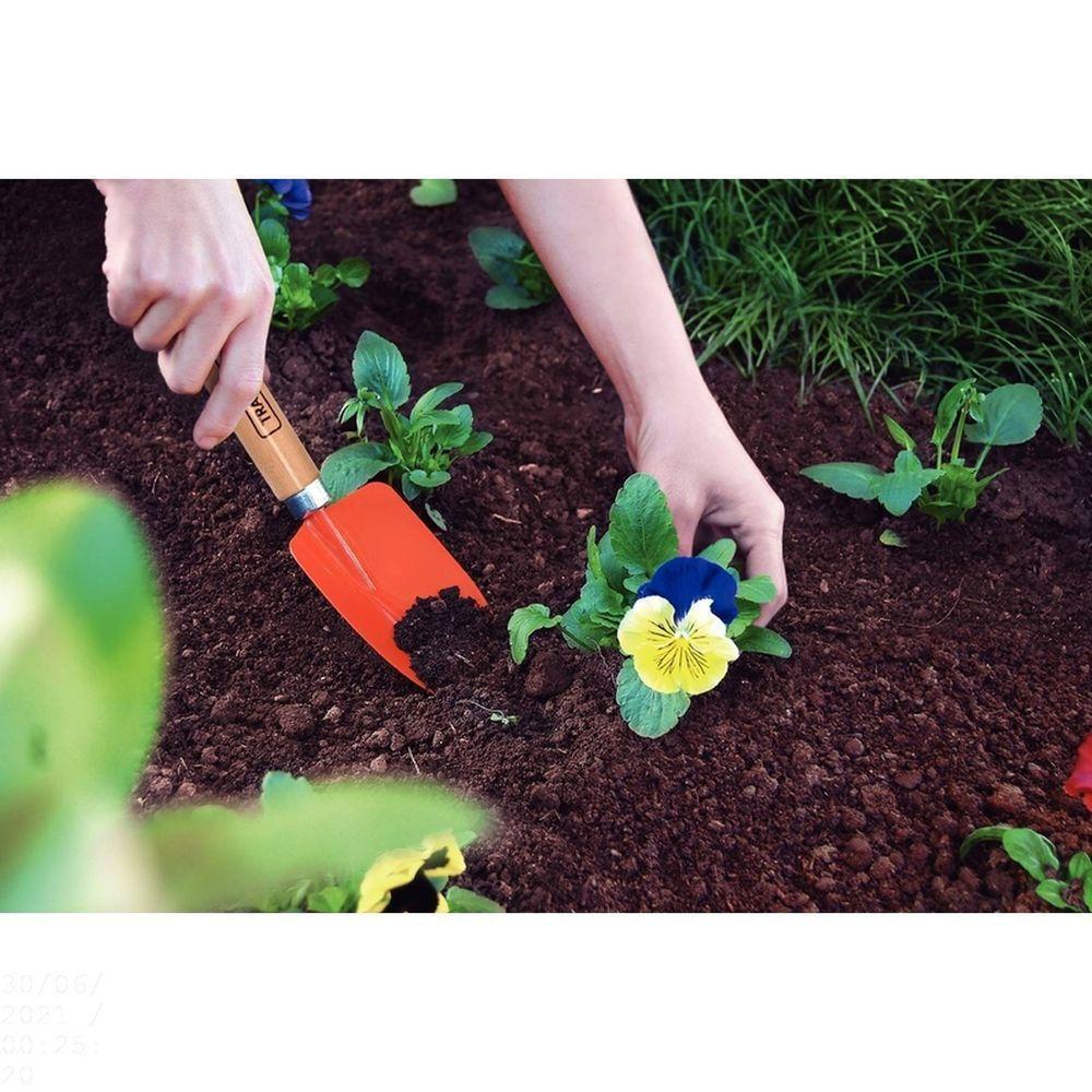 Pazinha Estreita Metálica Para Jardinagem Tramontina Com Cabo De Madeira Tramontina - 3