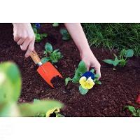 Pazinha Estreita Metálica Para Jardinagem Tramontina Com Cabo De Madeira Tramontina - 3