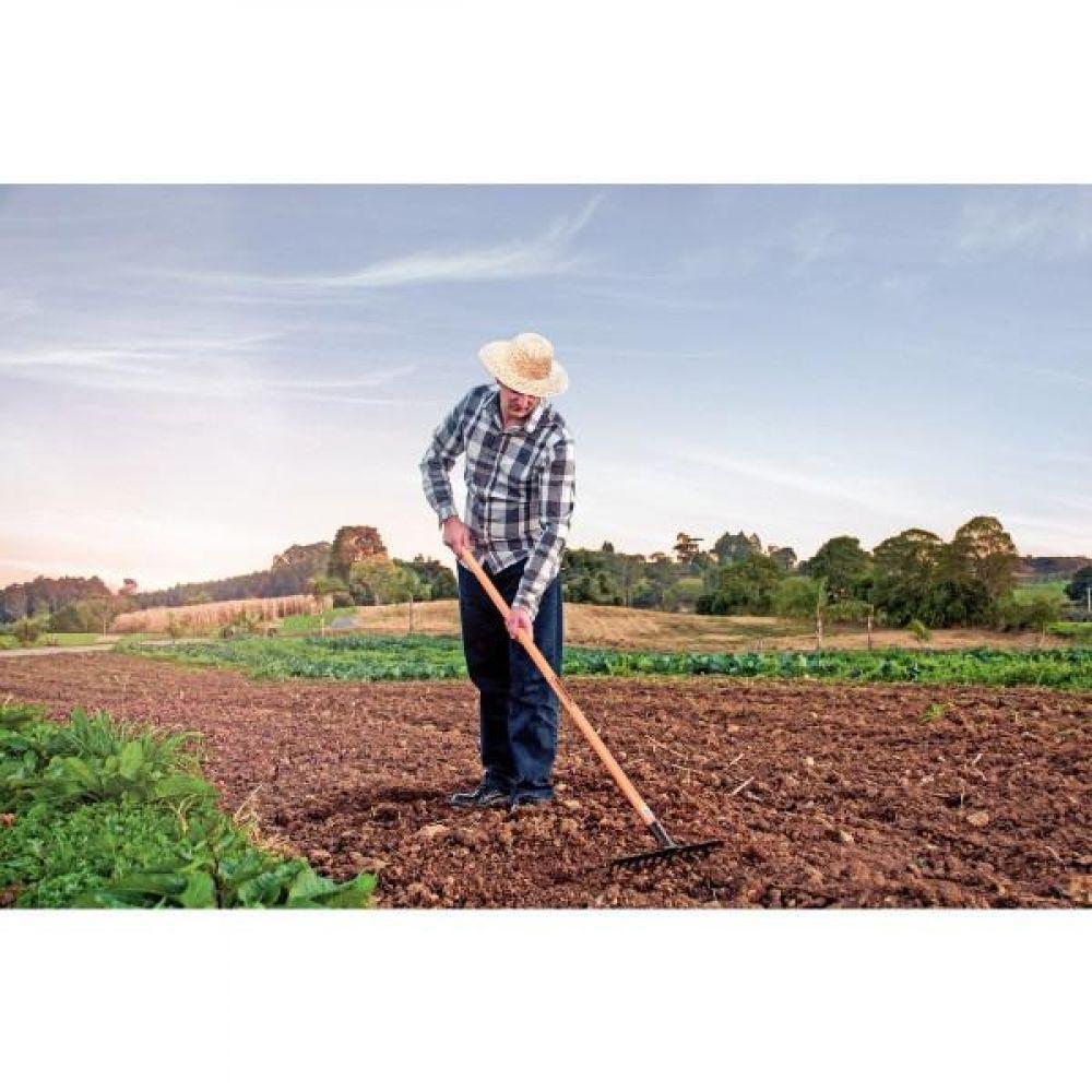 Ancinho Curvo Leve com 12 Dentes Tramontina em Aço sem Cabo - 2