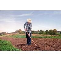 Ancinho Curvo Leve com 12 Dentes Tramontina em Aço sem Cabo - 2