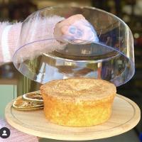 Prato Com Cúpula Em Bambu Ecokitchen 27,5x9cm Mimo Style - 9