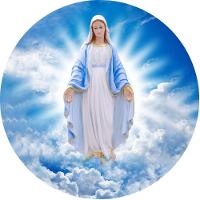 Capa De Estepe Ecosport Religioso Nossa Senhora Das Graças - 1