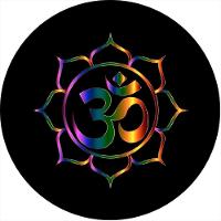 Capa De Estepe Ecosport Om Mantra - 1