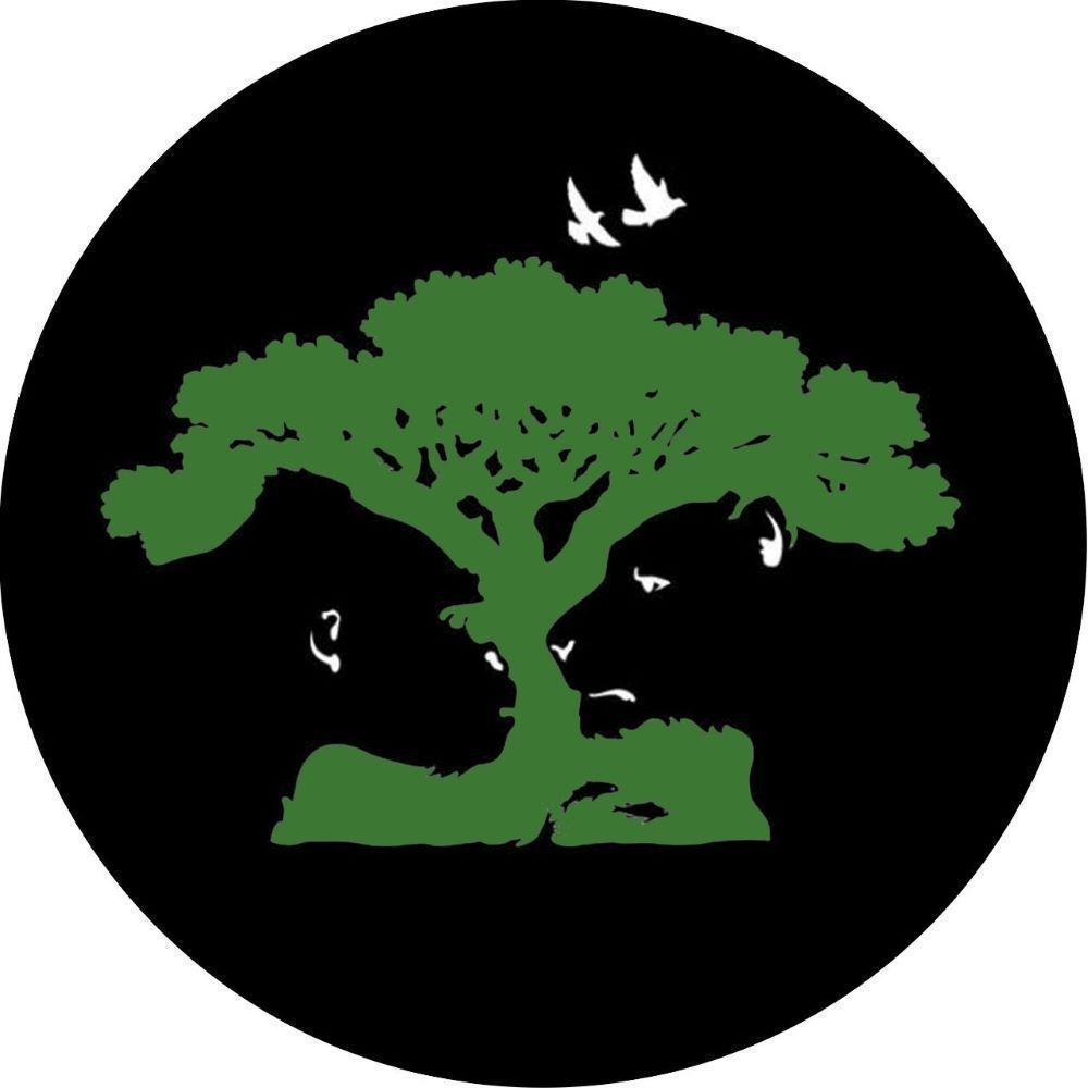 Capa De Estepe Pneu Exclusiva Aro 17" 18" Impressão Digital - 1