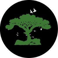 Capa De Estepe Pneu Exclusiva Aro 17" 18" Impressão Digital - 1