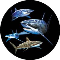 Capa Para Estepe Ecosport Crossfox Aircross Tubarões - 1