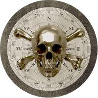 Capa Estepe Ecosport Crossfox Bússola Caveira - 2