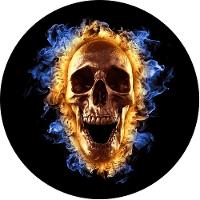 Capa de Estepe Personalizada para Ecosport Crossfox Caveira - 1