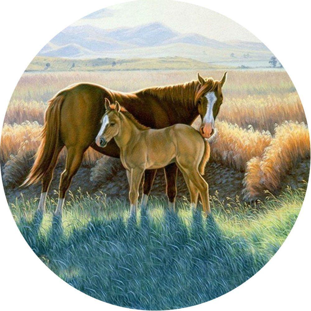 Capa Para Estepe Ecosport Crossfox Cavalos - 1