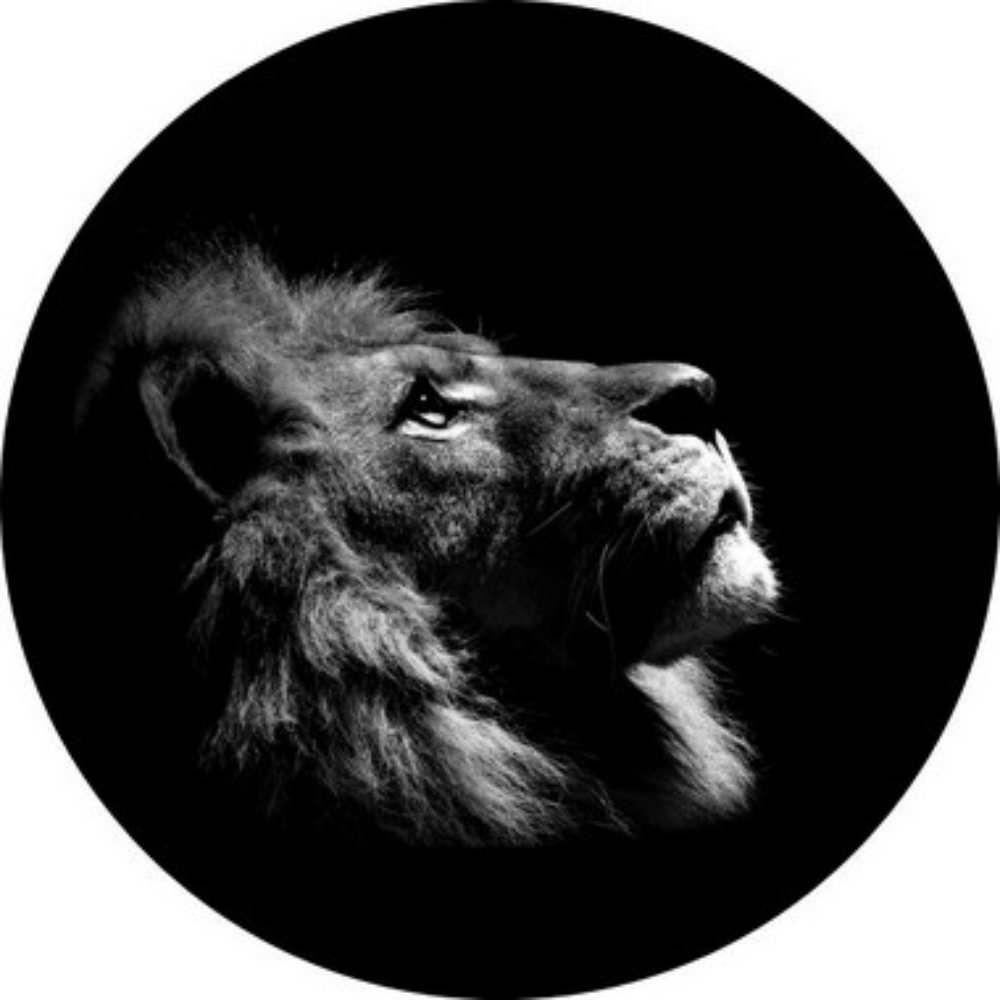 Capa para Estepe Ecosport + Cabo + Cadeado Lorben CN935 - 1