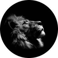 Capa para Estepe Ecosport + Cabo + Cadeado Lorben CN935 - 1