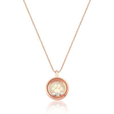 Colar Reliquaire Ballet Crystals Pet Revestido Em Ouro Rosê