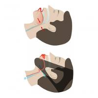 Faixa Elástica Queixeira Anti Ronco Apneia Cabeça 3 Pontas - 2