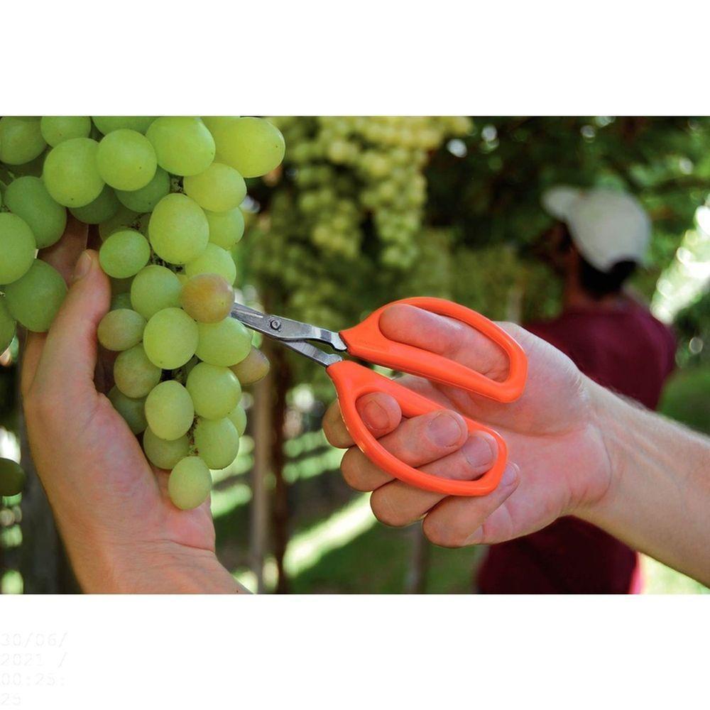 Tesoura Para Frutas Tramontina Com Lâminas Em Aço Inox Tramontina - 2