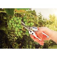 Tesoura De Fruta Profissional Tramontina Em Aço Com Cabo Emborrachado Tramontina - 4