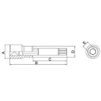 Soquete Em Aço Cromo Vanádio Ponta Multidentada Longa 10 Mm - Encaixe 1/2" Tramontina Pro Tramontina - 2