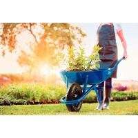 Carrinho De Mão Caçamba Rasa Metálica Azul 50 L, Braço Metálico E Pneu Com Câmara - 8