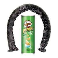 Pote De Batatas Que Pula Cobra Q Cor Verde Escuro - 1