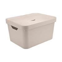 Caixa Organizadora Cube Bege 32 L Com Tampa 46 X 36 X 24,5 Cm - 1