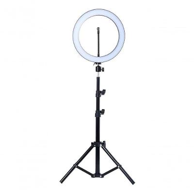 Ring Light 26 Cm + Tripe Extensivel