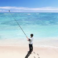 Bastão Selfie 2.0 Tipo Vara para GoPro e Similares 3mts - Telesin - 2