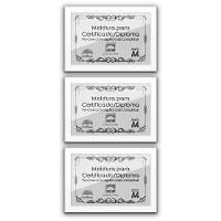 Kit 3 Certificados/Diplomas A4 Com Tela De Acetato E Mdf Titulo Moldura Branca - 1