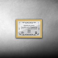 Kit 5 Certificados Diplomas A4 Com Tela De Acetato E Mdf Titulos Moldura Marfim - 9