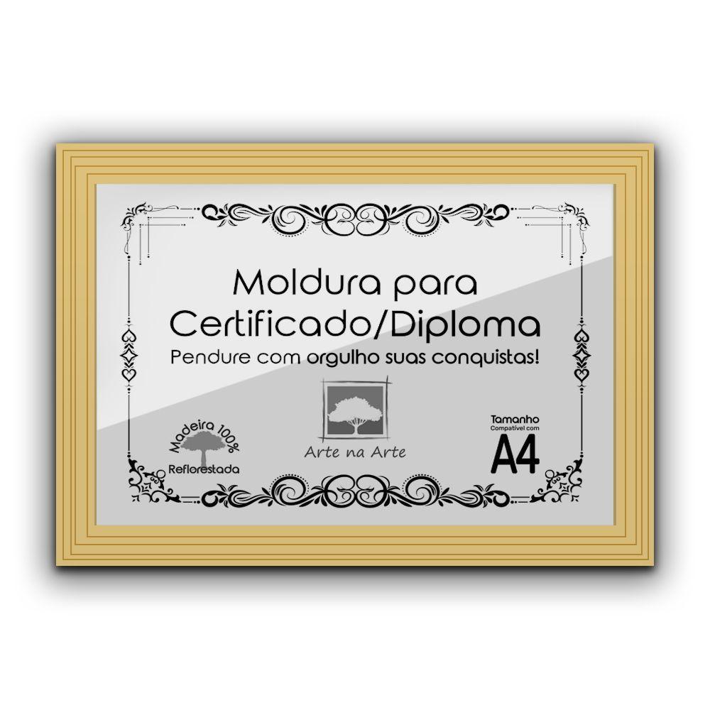 Kit 10 Certificados Diplomas A4 Com Tela De Acetato E Mdf Titulos Moldura Marfim - 9