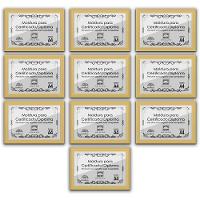 Kit 10 Certificados Diplomas A4 Com Tela De Acetato E Mdf Titulos Moldura Marfim - 1