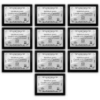 Kit 10 Certificados/Diplomas A4 Com Tela De Acetato E Mdf Titulo Moldura Preta - 1