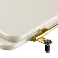 Tampa De Vaso Poliéster Izy Creme Para Bacia Deca - 5